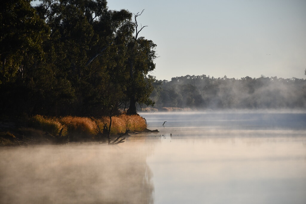 Chaffey Bend, Murray River II by nannasgotitgoingon