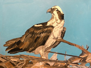 22nd Jun 2024 - Osprey (painting)