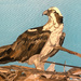 Osprey (painting)