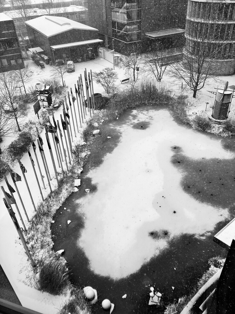 frozen pond  by vincent24