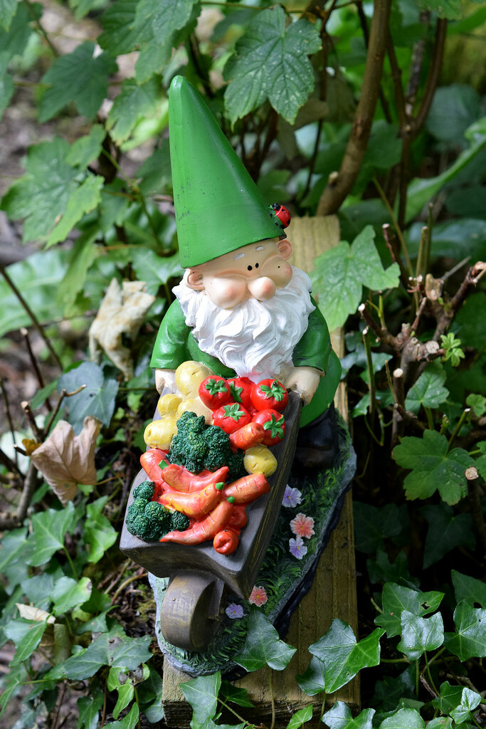 Wilf the Gardening Gnome by pebblegeek