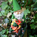 Wilf the Gardening Gnome