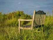 21st Jun 2024 -  Seat with a view