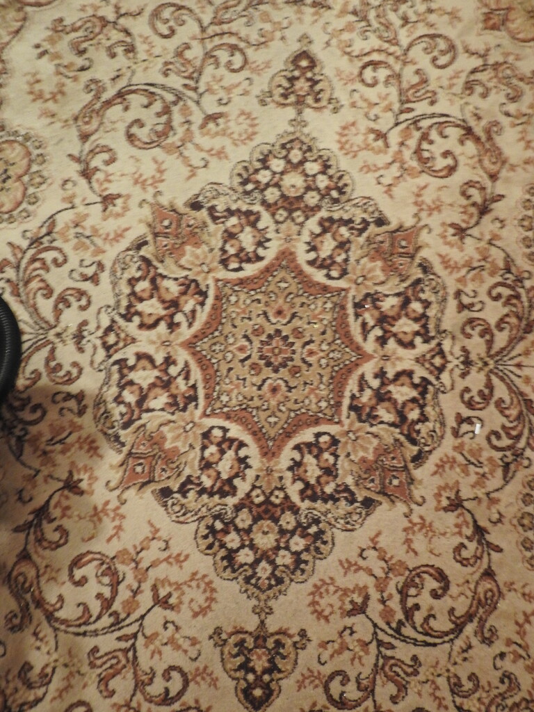 Carpet by oldjosh