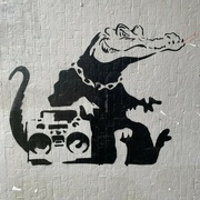 22nd Jun 2024 - croc graffiti