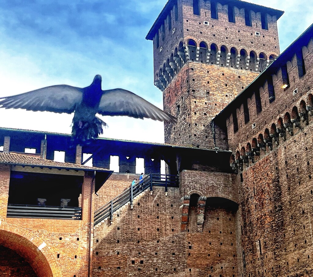 Castello Sforzesco by rensala