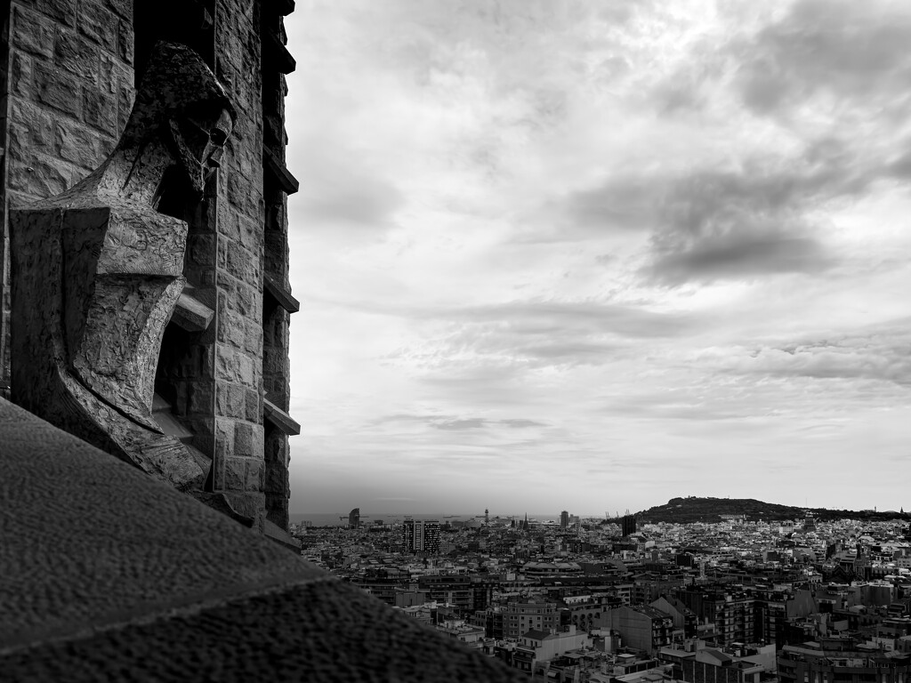 View from the Sagrada Familia by northy