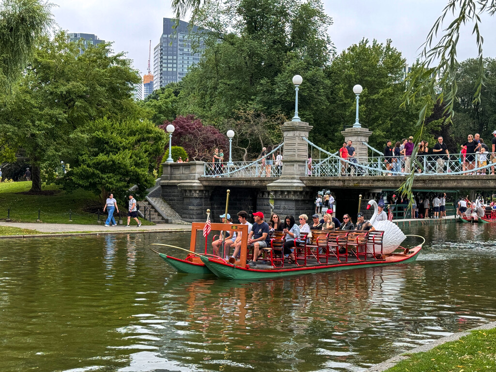 Swan Boats by berelaxed