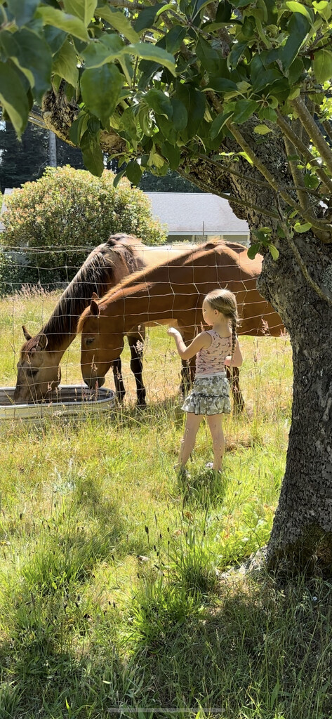 Helping with the horses by pandorasecho