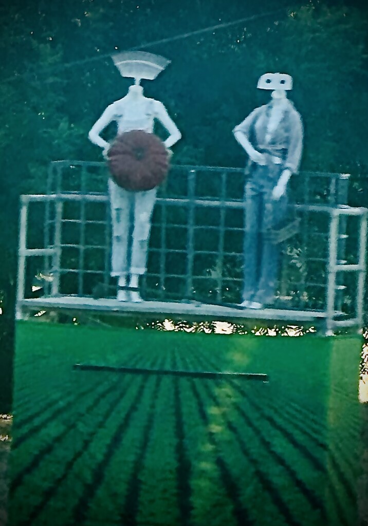 Strange mannequins in a field by wendybca