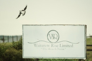 23rd Jun 2024 - Waitarere Rising