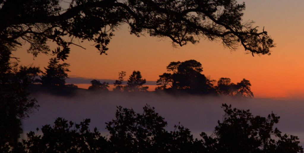 Sea fog at Āwhitu by dide