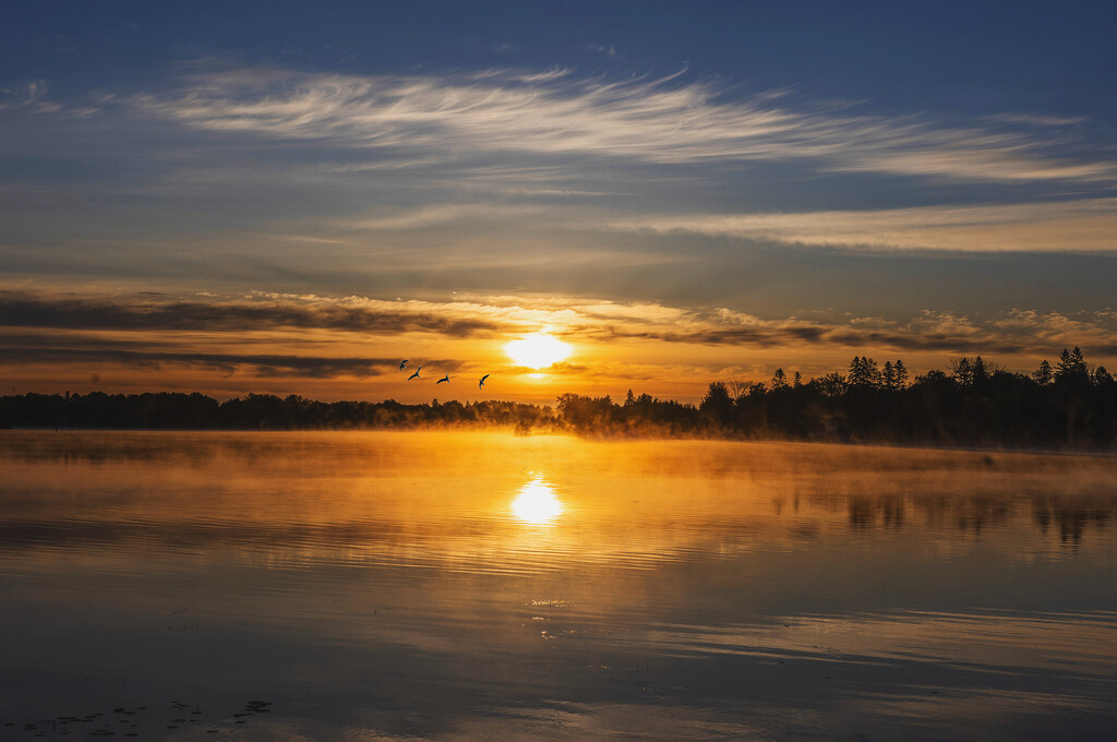 Kawartha Lake Sunrise by pdulis