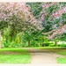 Abington Park by carolmw