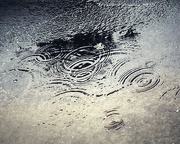 23rd Jun 2024 - Puddle (23)