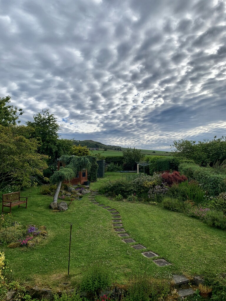 Morning sky from my bedroom window….  by billdavidson