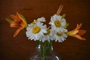 23rd Jun 2024 - Daisies And Day Lilies