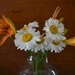 Daisies And Day Lilies