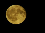 22nd Jun 2024 - Longest day full moon