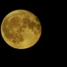 Longest day full moon
