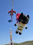 23rd Jun 2024 - The rescue dogs and Spiderman and Batman 