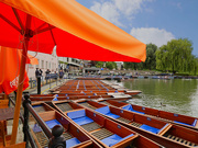 23rd Jun 2024 - Any one fancy a couple of hours punting?