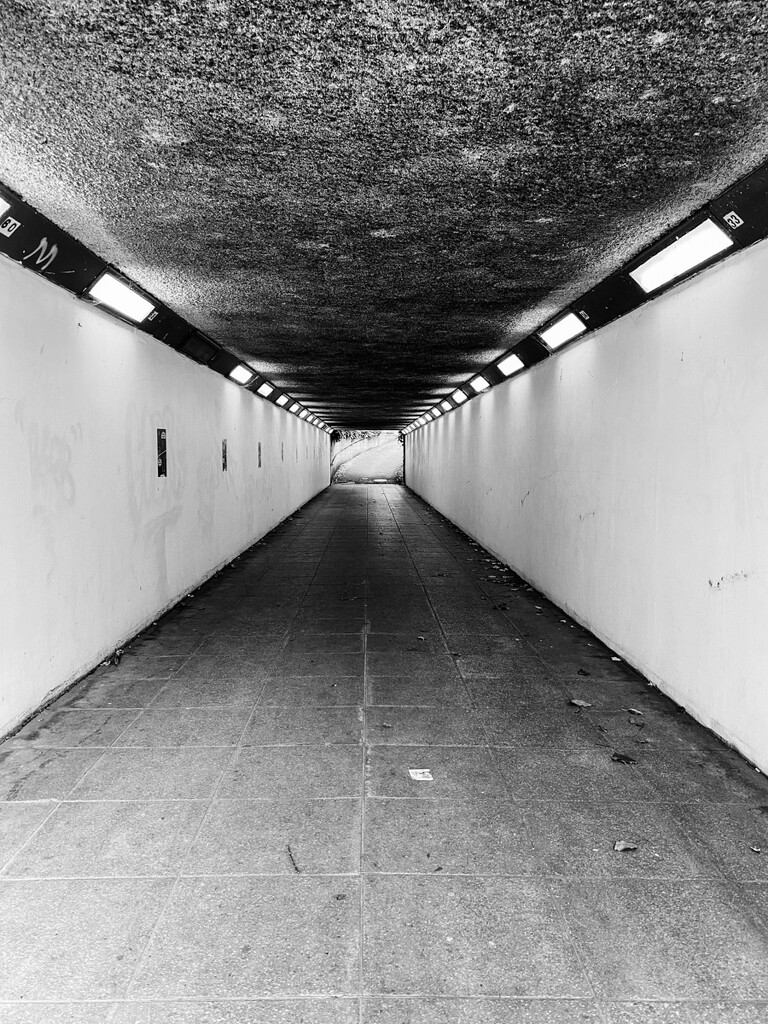 Underpass In Mono by tonus