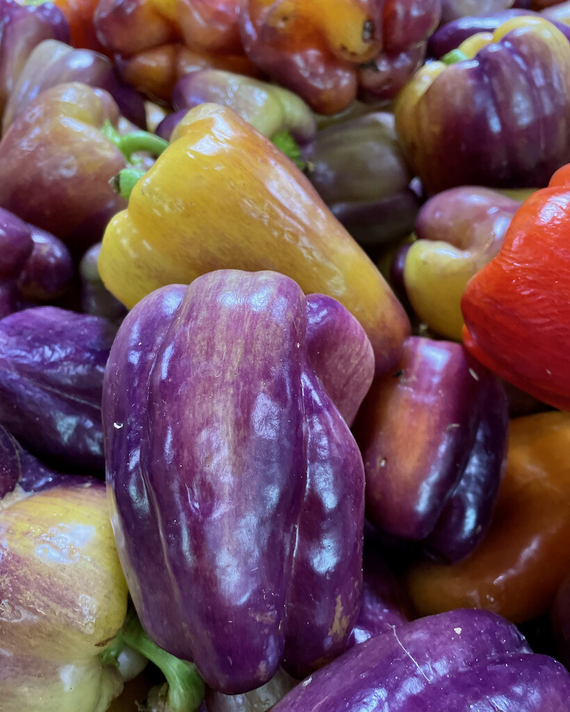 Peter Piper picked a peck of purple peppers by eudora