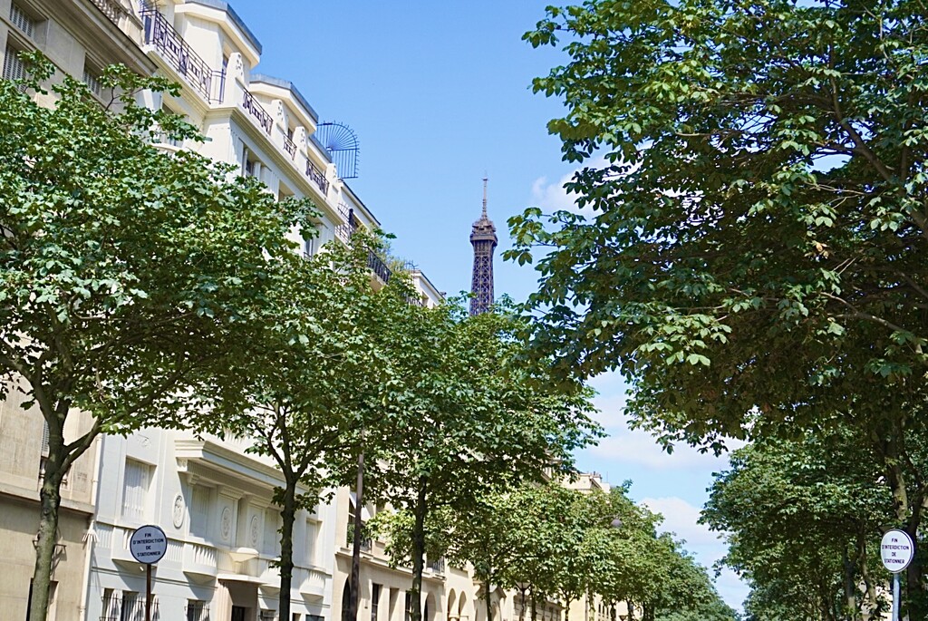 When was the first time you saw the Eiffel Tower?  by beverley365