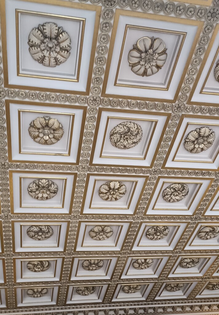 Ornate ceiling  by ollyfran