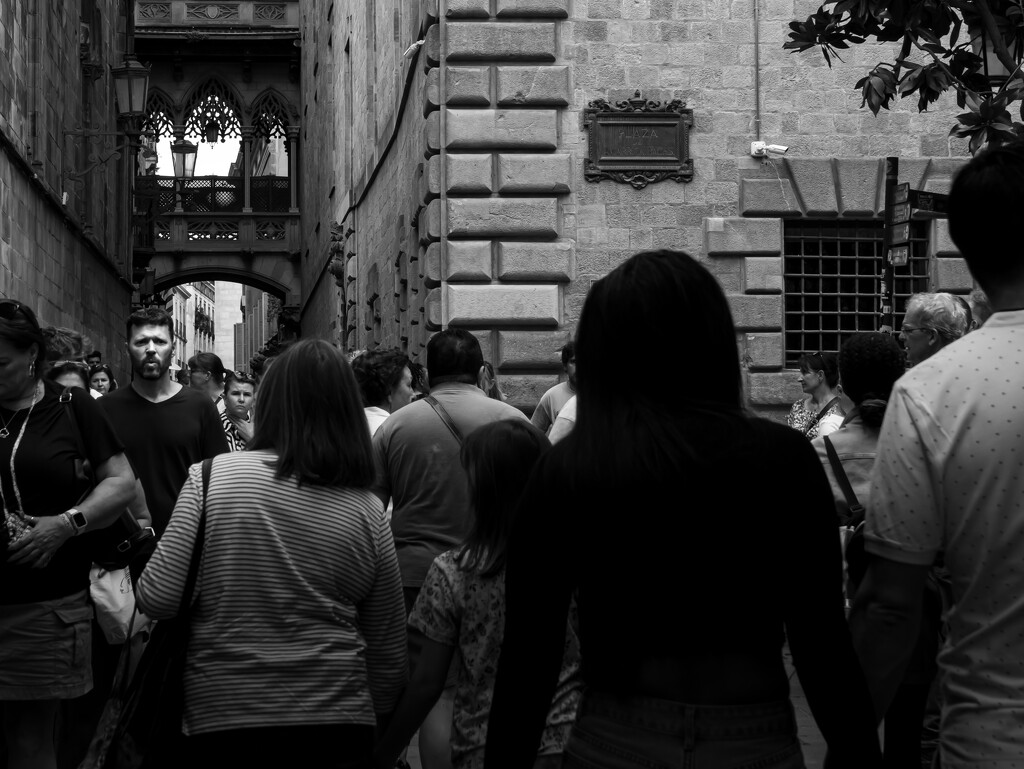 Barcelona crowds by northy