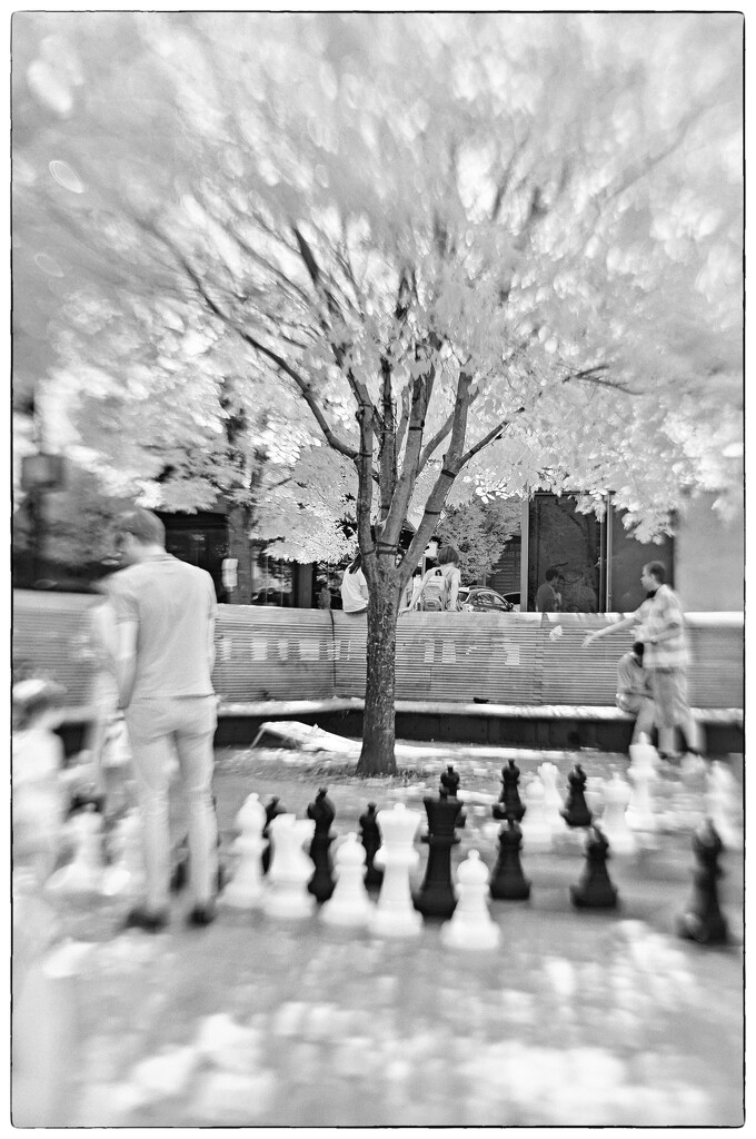 Chess in the park by joysabin