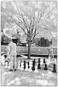 19th Jun 2024 - Chess in the park