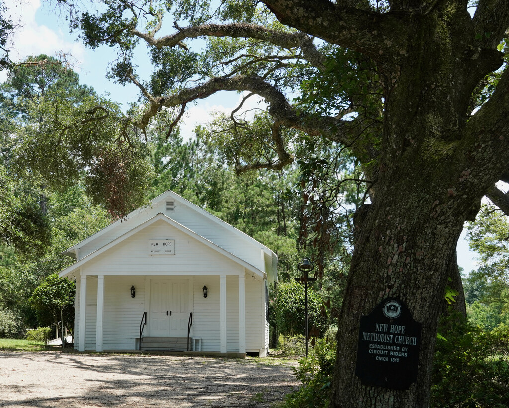 New Hope Methodist Church by eudora