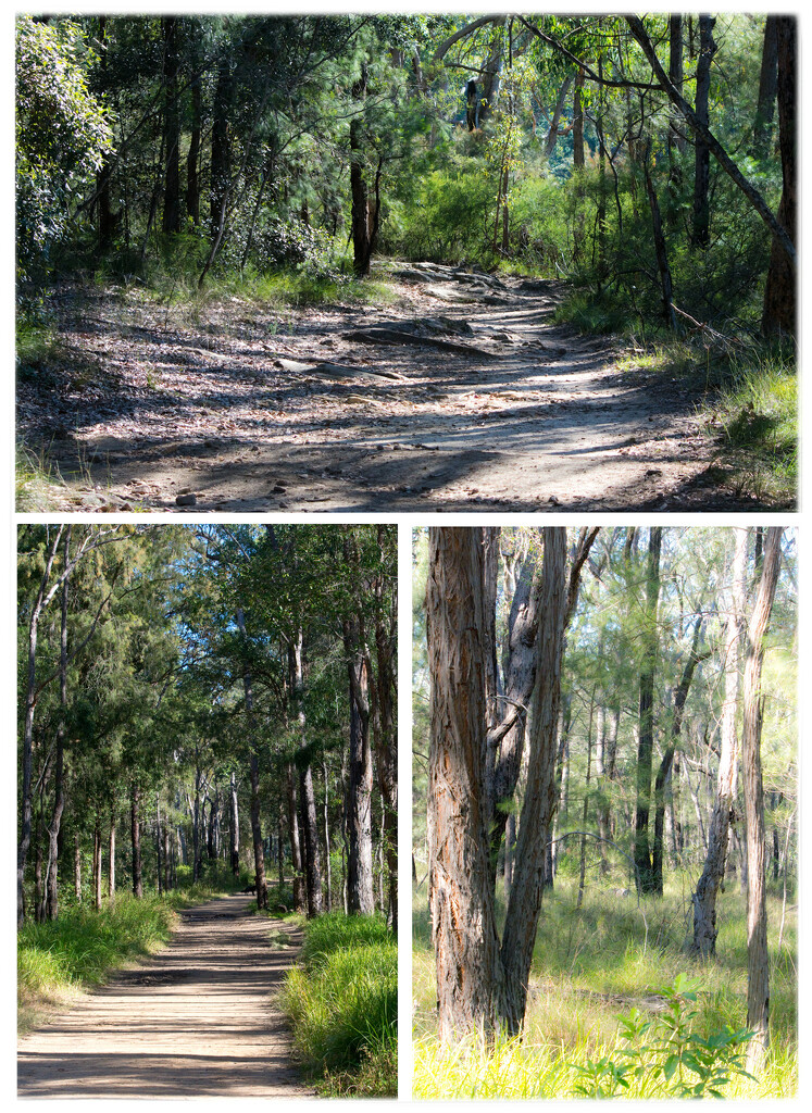 Wandering Knapsack Reserve by annied