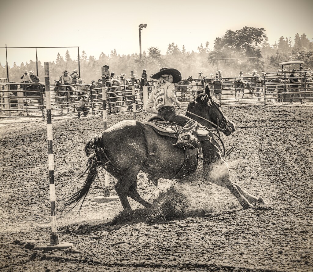 Pole Bending by joysfocus