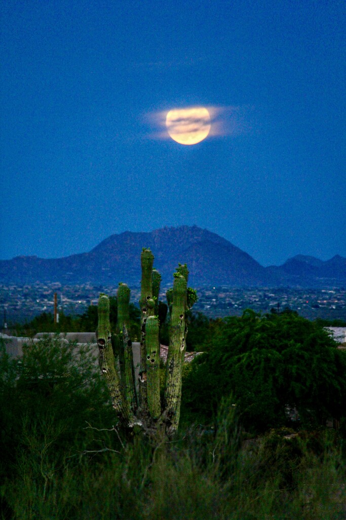 Arizona Moon Light by corinnec