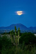 25th Jun 2024 - Arizona Moon Light