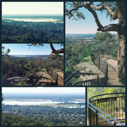 22nd Jun 2024 - Marges Lookout