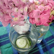 25th Jun 2024 - Pink hydrangeas and cucumber water on a sweltering day.