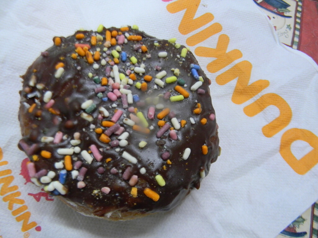 Chocolate Donut with Sprinkles  by sfeldphotos