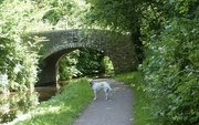 25th Jun 2024 - A Walk Along the Canal with Tilly and Nicola
