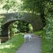 A Walk Along the Canal with Tilly and Nicola