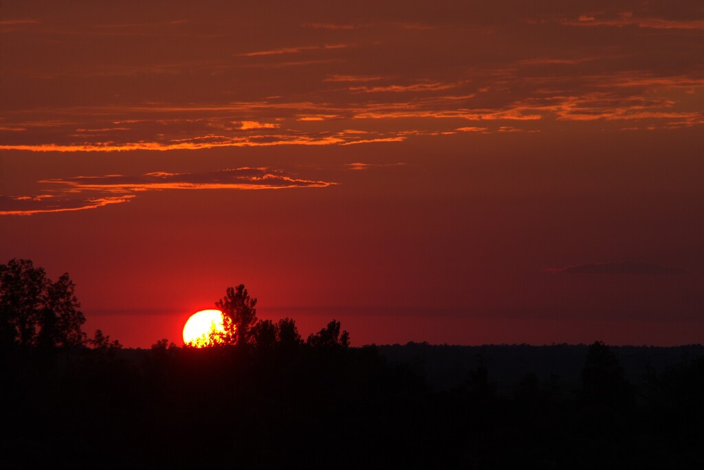 The Fire Orb by granagringa