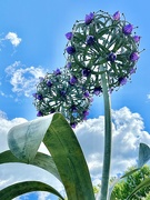 25th Jun 2024 - Giant Allium Sculpture 