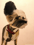 26th Jun 2024 - Chinese crested (painting)