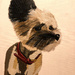 Chinese crested (painting) by stuart46
