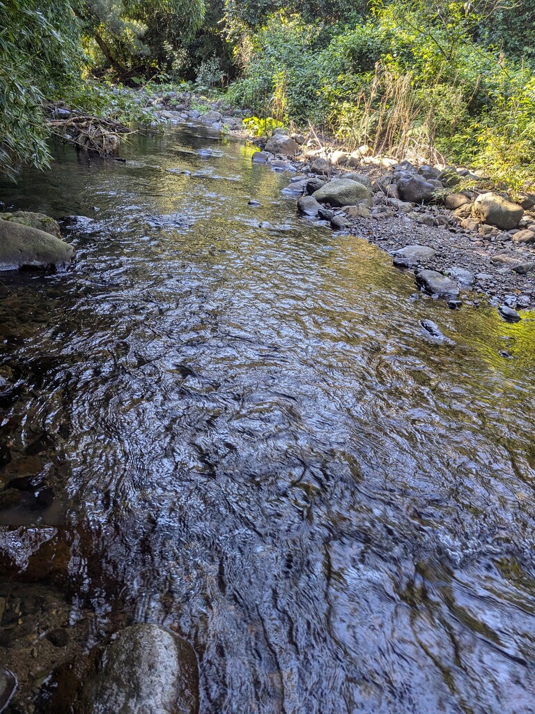 Country Creek Crossing by elf