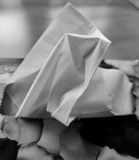 26th Jun 2024 - Tissues 