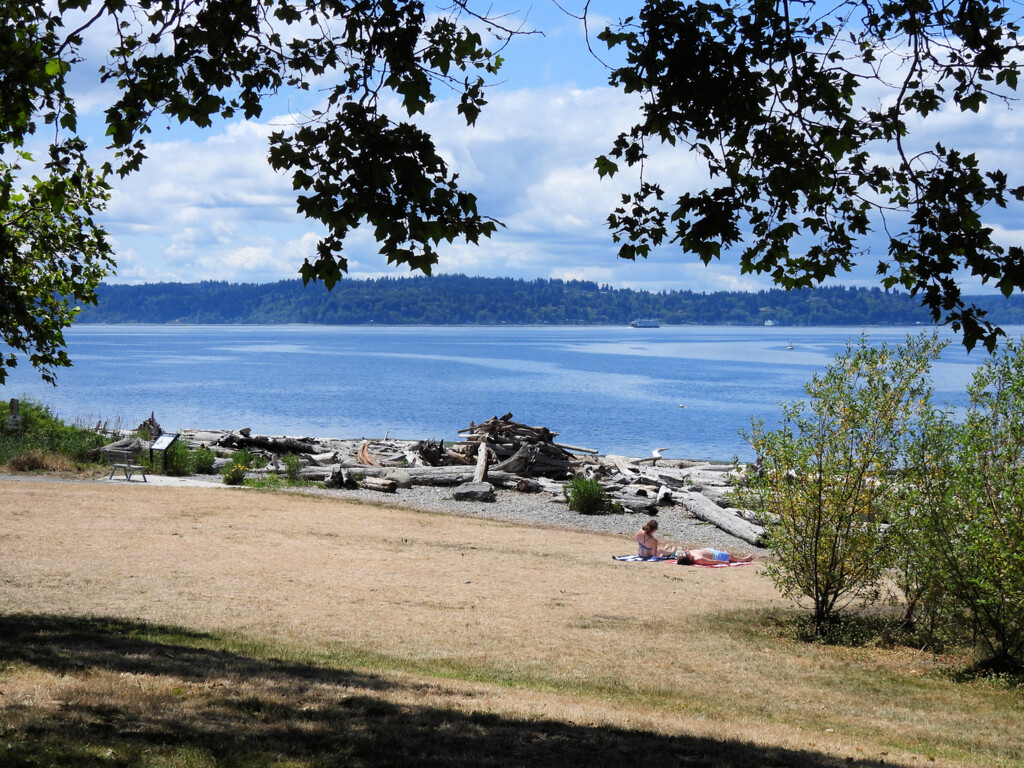 Lowman Park Beach  by seattlite